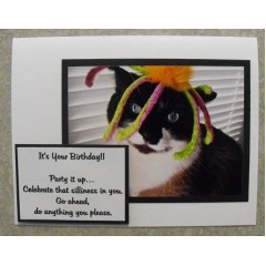 Funny Cat Birthday Cards - Cassia 43